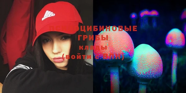 гашик Кинешма