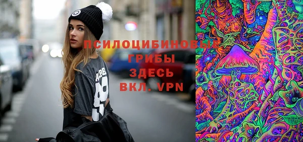 гашик Кинешма