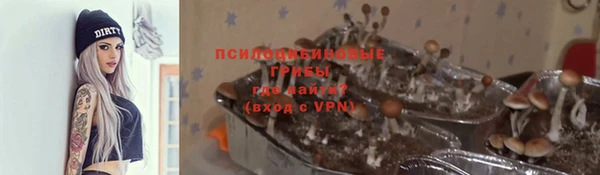 гашик Кинешма