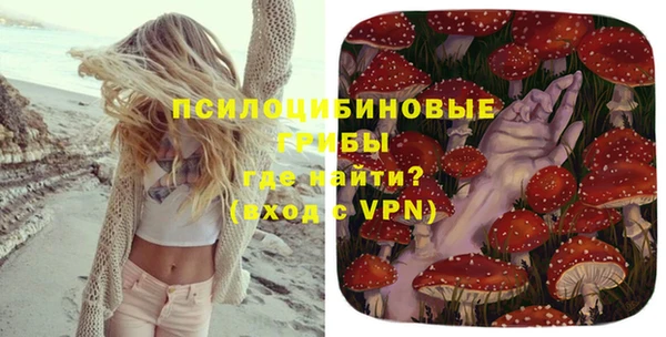 тгк Каменногорск