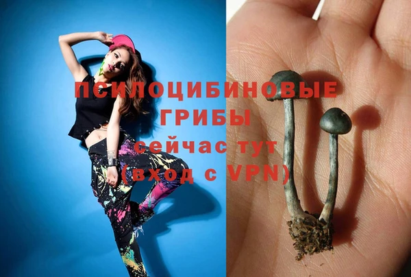 гашик Кинешма